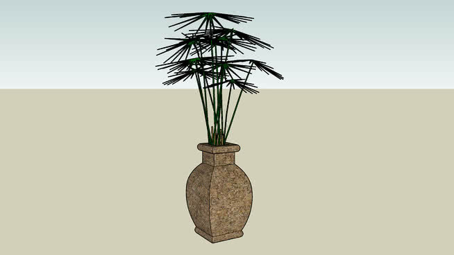 室内植物 花瓶 植物 画 菠萝 其他