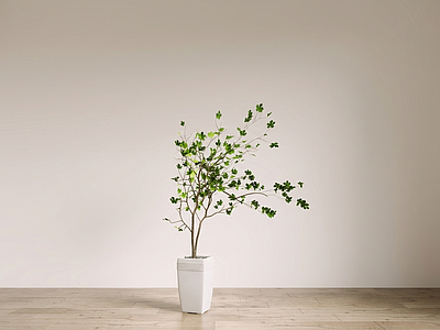 白色花箱艺术绿植盆栽