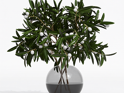 带果盆栽植物
