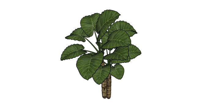 树 植物 棉花 其他 菜花 饰品