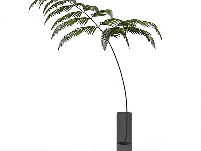 带盆绿植模型