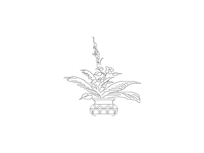 花 常用植物图例