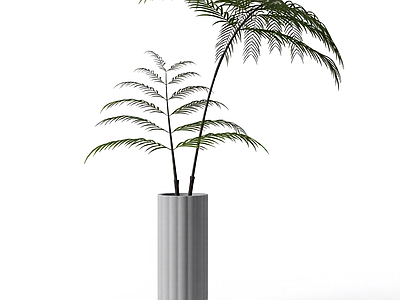 盆栽植物组合