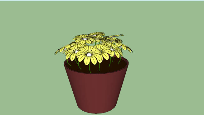 花盆 植物 花盆 花瓶 其他 杯子