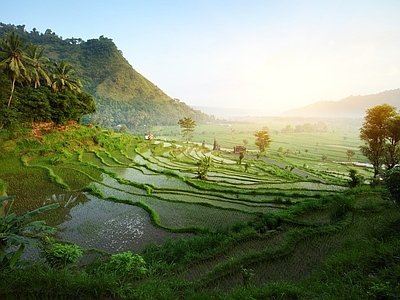 外景
