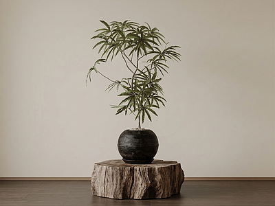 艺术绿植盆栽