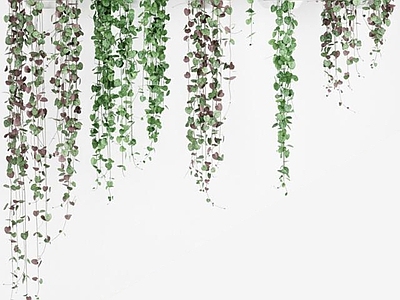 日式盆栽墙挂植物绿植
