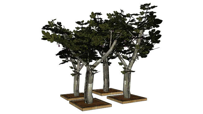 娇小，但该figuiersen无花果树的3D，3D，3D arbre，森林 植物 画 其他 台灯 编钟