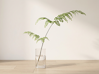 艺术绿植草本植物