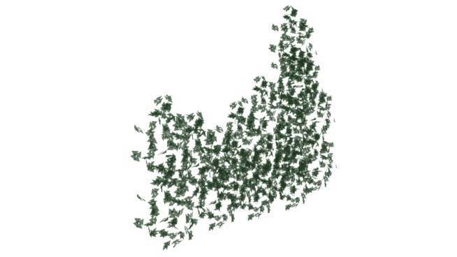 垂直花园、植物墙 其他 画 饰品 项链