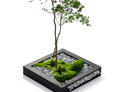 盆栽植物组合体