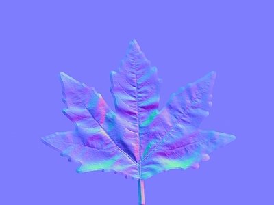 其他法线