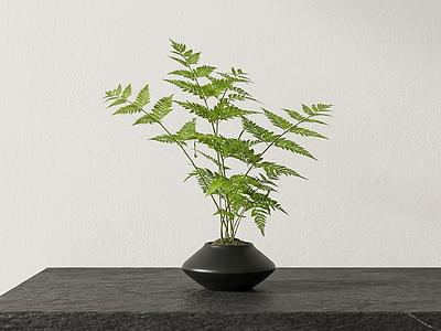 禅意绿植盆栽