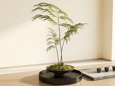 桌面艺术绿植盆栽