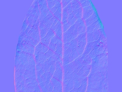 其他法线