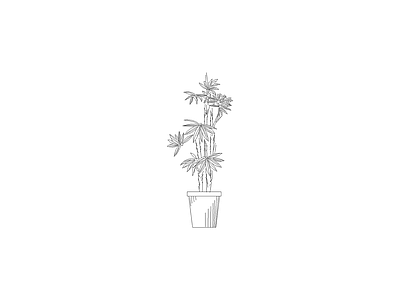 种绿植盆栽图块 植物