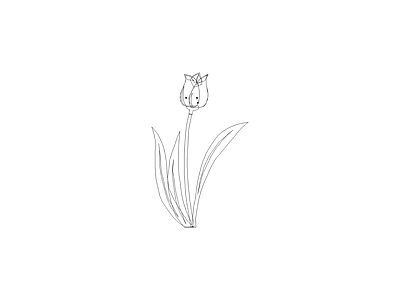 花 植物图例