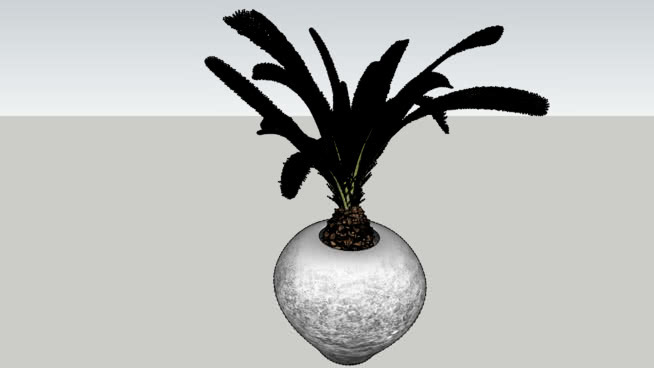 棕榈科植物 其他 花瓶 饰品 画 水果