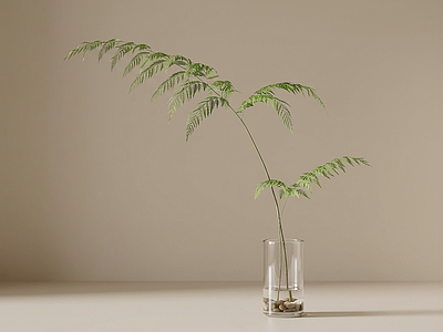 艺术绿植盆栽