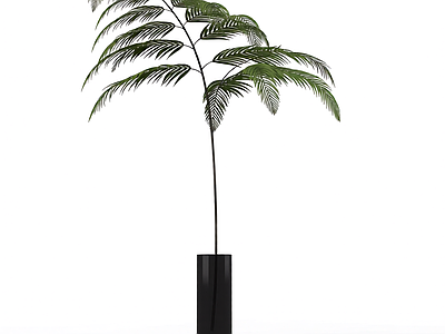 带盆绿色植物模型