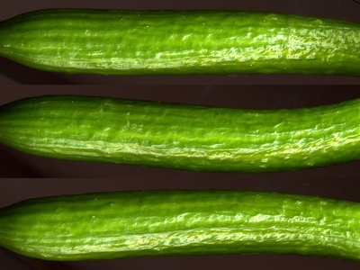 蔬菜