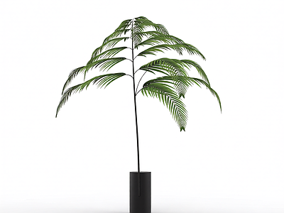绿色枝叶植物模型