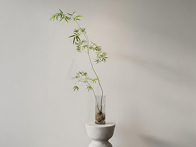 艺术绿植竹子