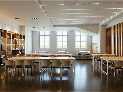 现代图书馆