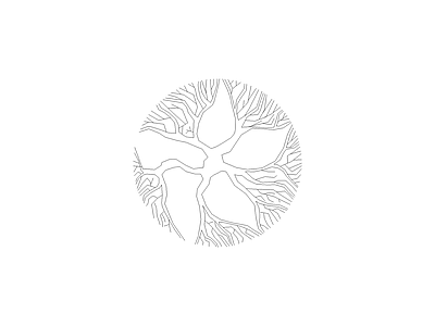 备用植物图例 火焰木