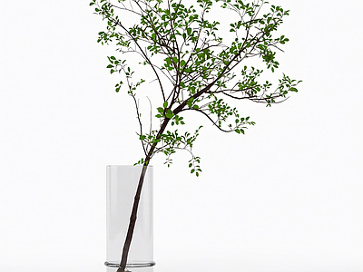带盆枝叶植物模型