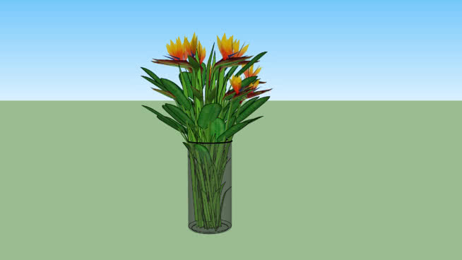 鹤望兰 花瓶 植物 其他 画