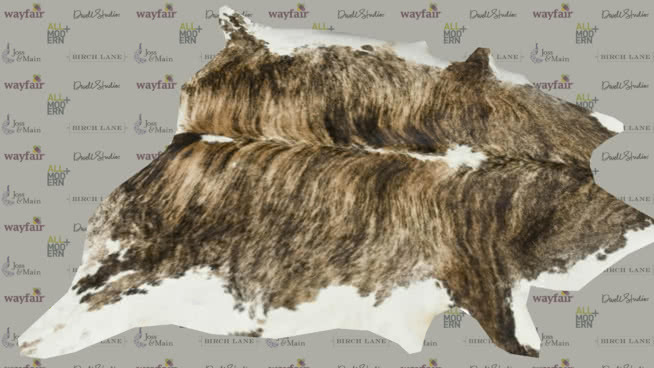 地毯皮培养基 爱尔兰猎狼犬 诺维奇梗 毛皮大衣 凯恩犬 茅草屋
