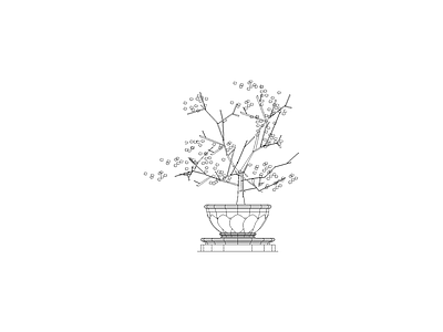 花 植物立面
