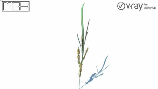 草，高聚合，VRY准备（052） 其他 画 书 明信片
