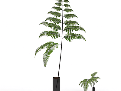 带盆绿植模型