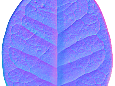 其他法线