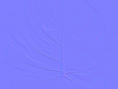 其他法线