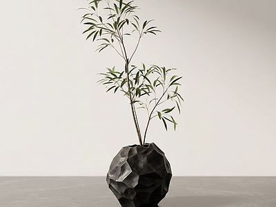 设计感绿植盆栽盆栽