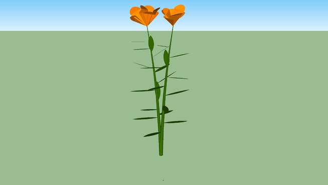 蝴蝶马利筋（Asclepias tuberosa） 其他 杆 植物 衣物 风车