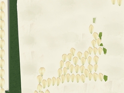 花朵纹理