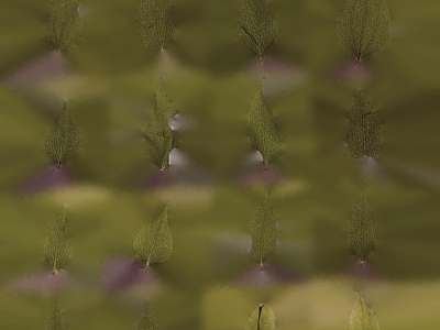 绿植墙