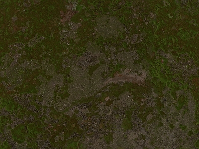自然地面