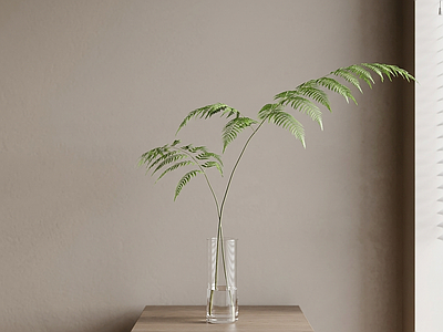 艺术绿植草本植物