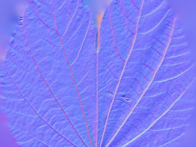 其他法线