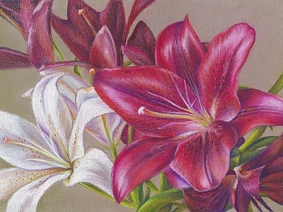 花朵纹理