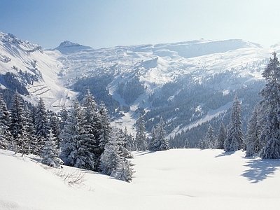 远山
