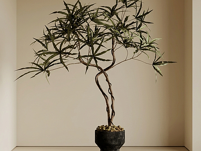 造型绿植盆栽