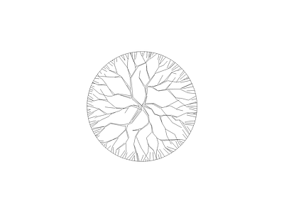 景观植物图块 皂荚