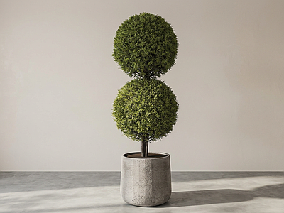 造型绿植盆栽