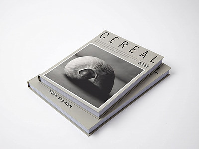 堆叠书籍装饰组合
